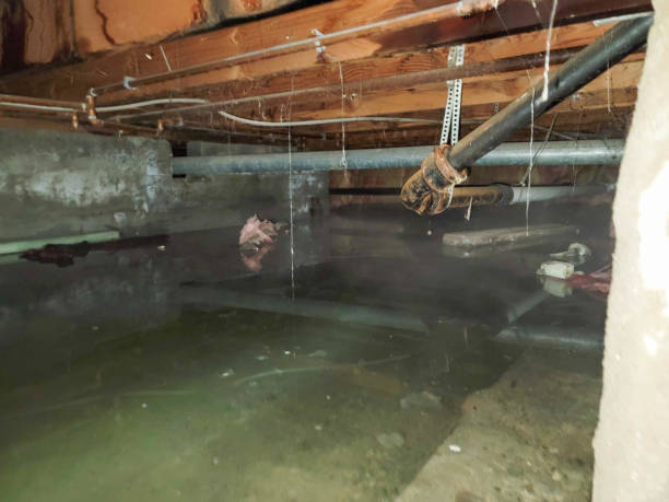 Best Emergency water damage restoration  in Middlefield, OH