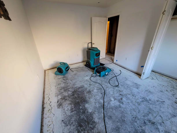 Best Water damage restoration near me  in Middlefield, OH