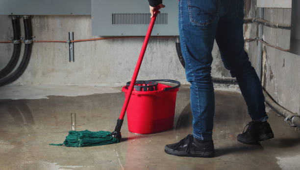 Best Local water damage restoration  in Middlefield, OH