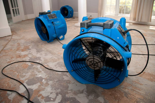 Best Fire Damage Restoration  in Middlefield, OH